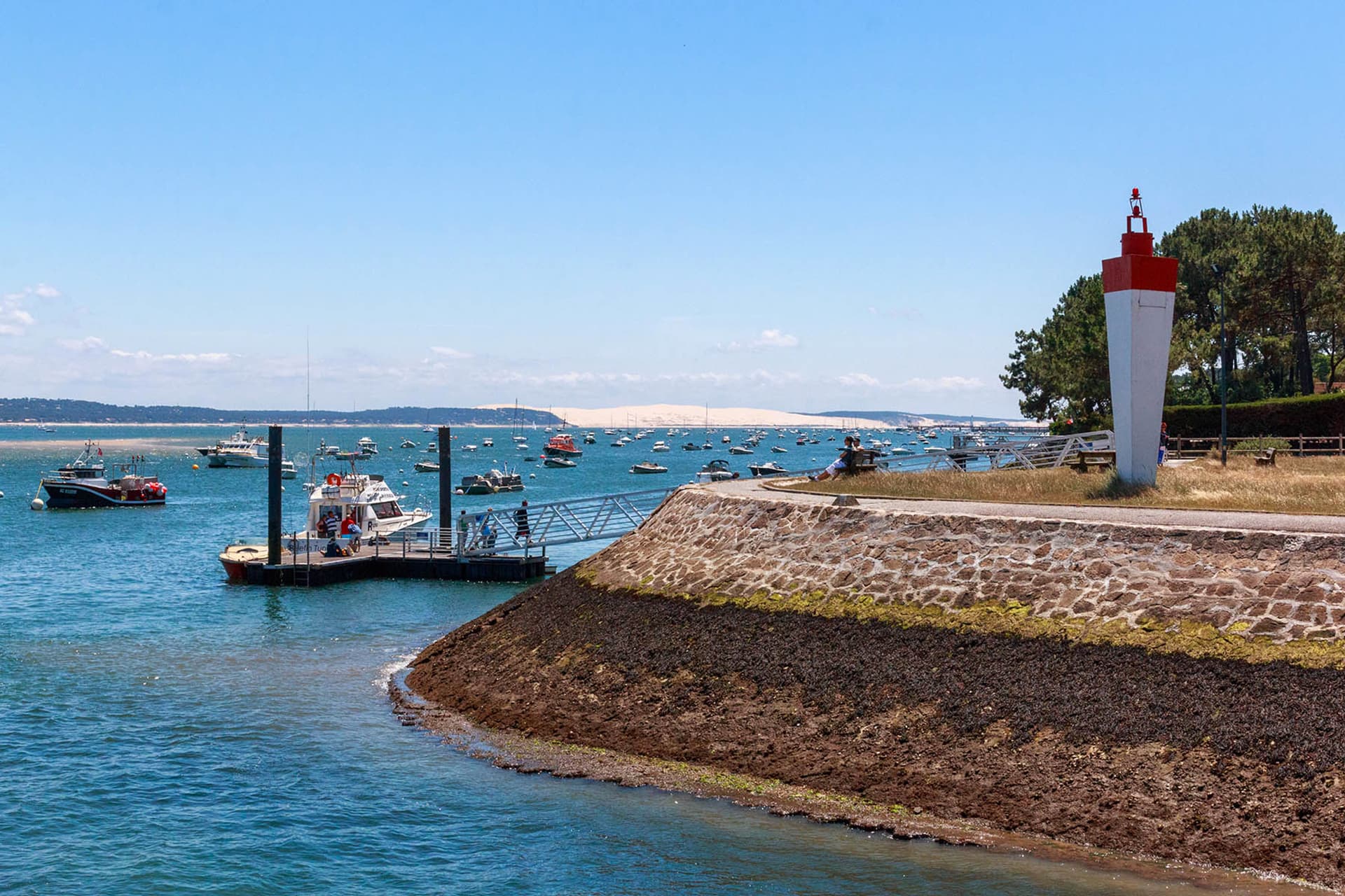 Cap Ferret – La Vigne